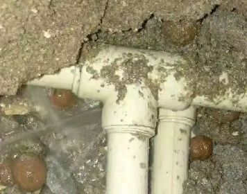 宁德测漏水多少钱