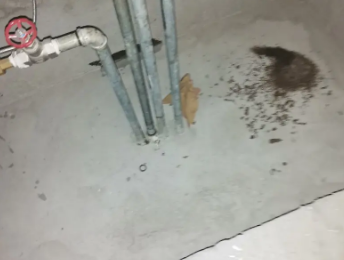 宁德卫生间测漏水价格明细